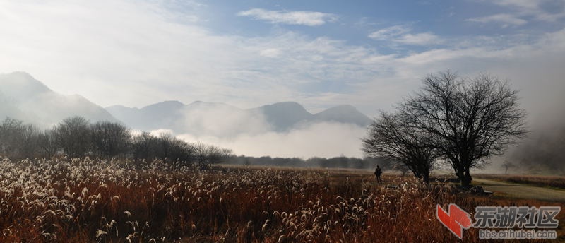 DSC_0208.jpg
