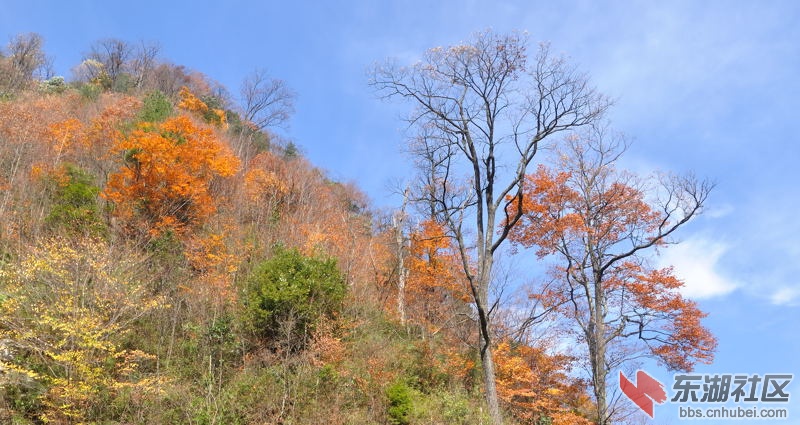 DSC_0263－１.jpg