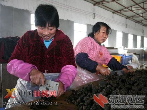 20091212006.jpg