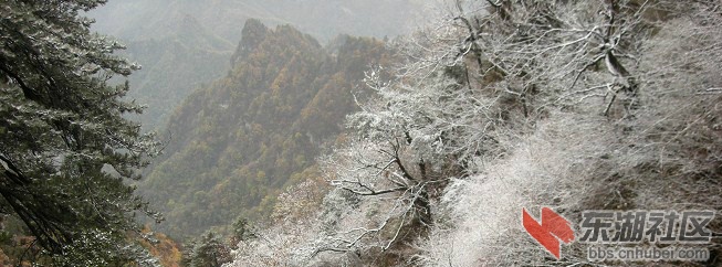 武当雪景.jpg