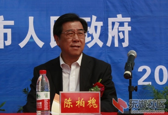 省政协副主席陈柏槐
