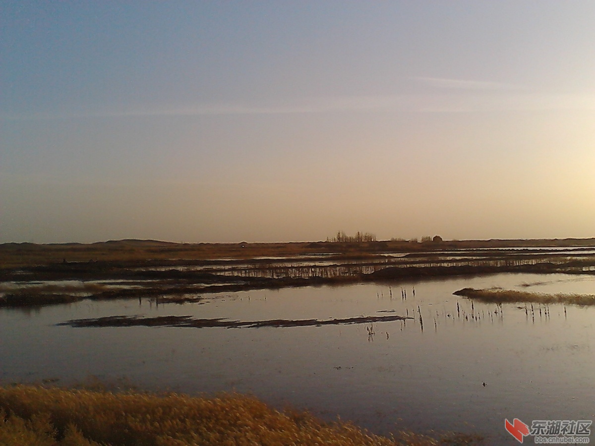 IMG_20121106_165908.jpg