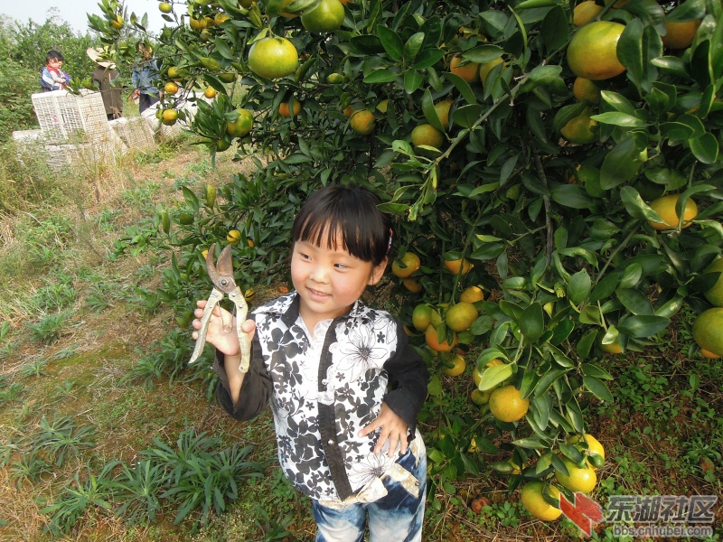 DSCN4134_编辑.jpg