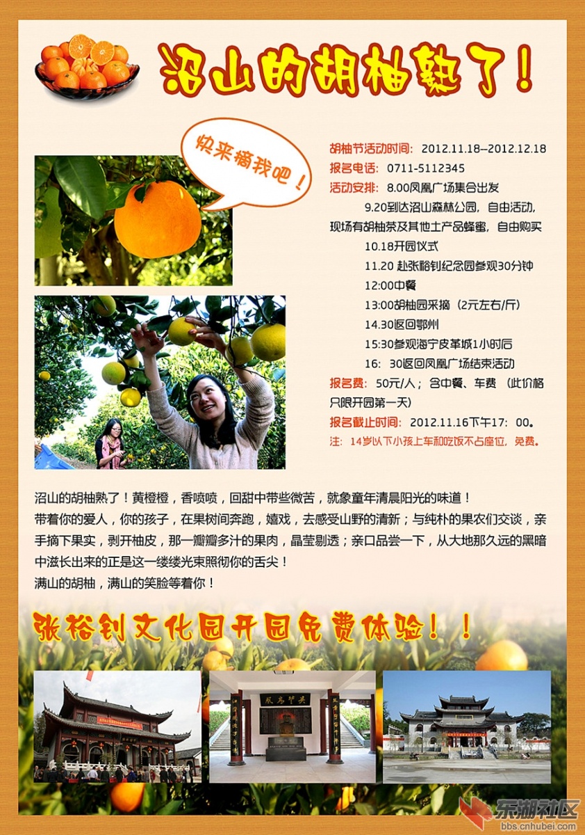 胡柚节_副本.jpg