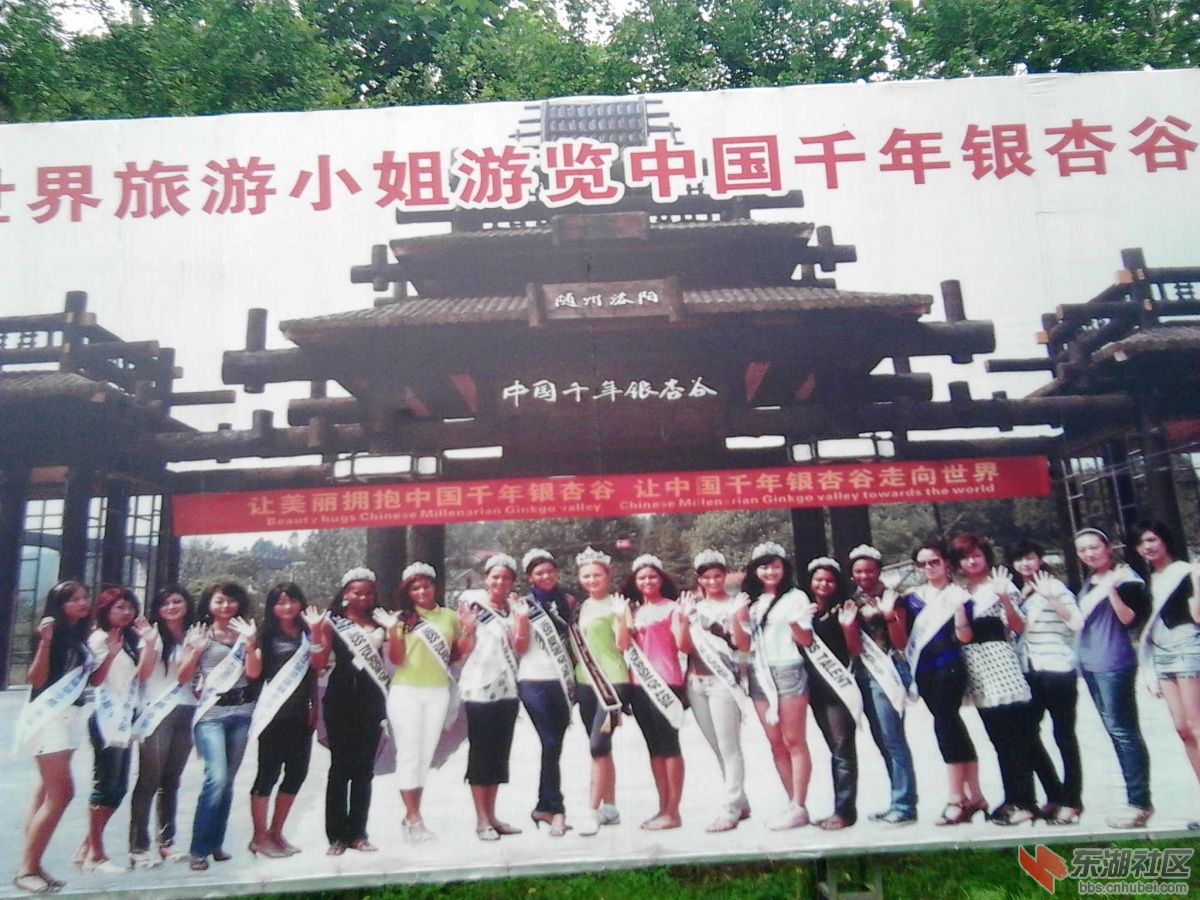 世界小姐与中国银杏谷同乐.jpg