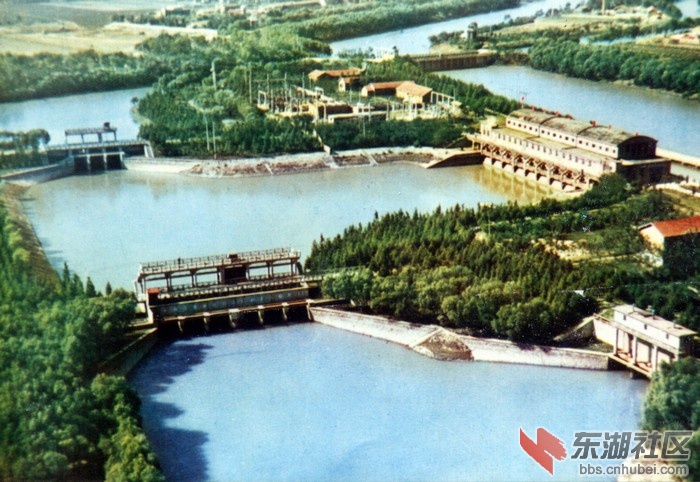 201048163250845.jpg