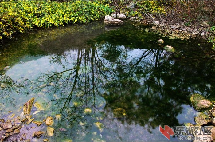 山间小景.jpg