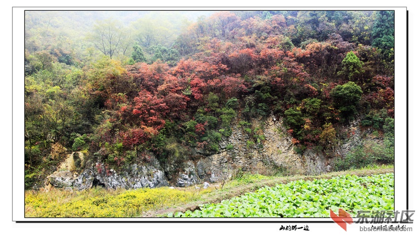 _MG_4223.JPG