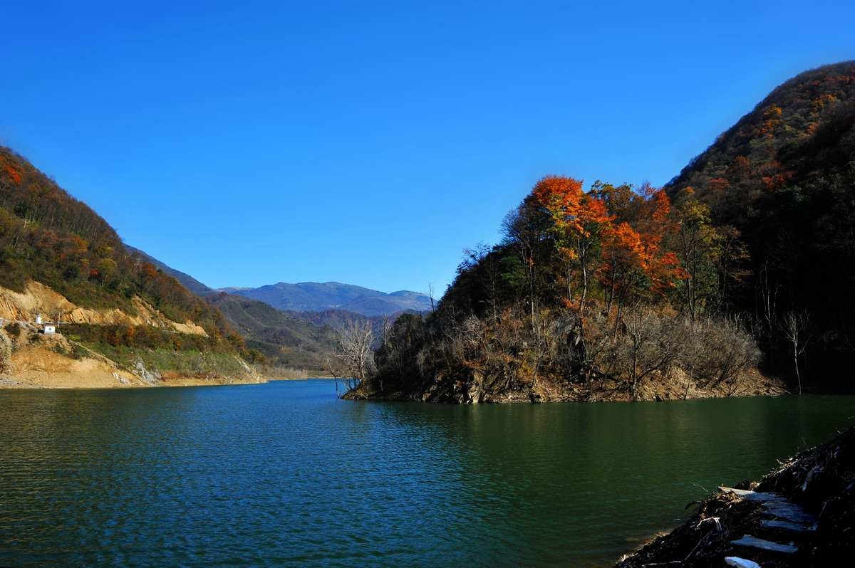 DSC_7403.jpg
