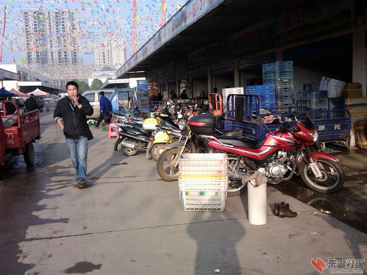 IMG_20121117_155122.jpg