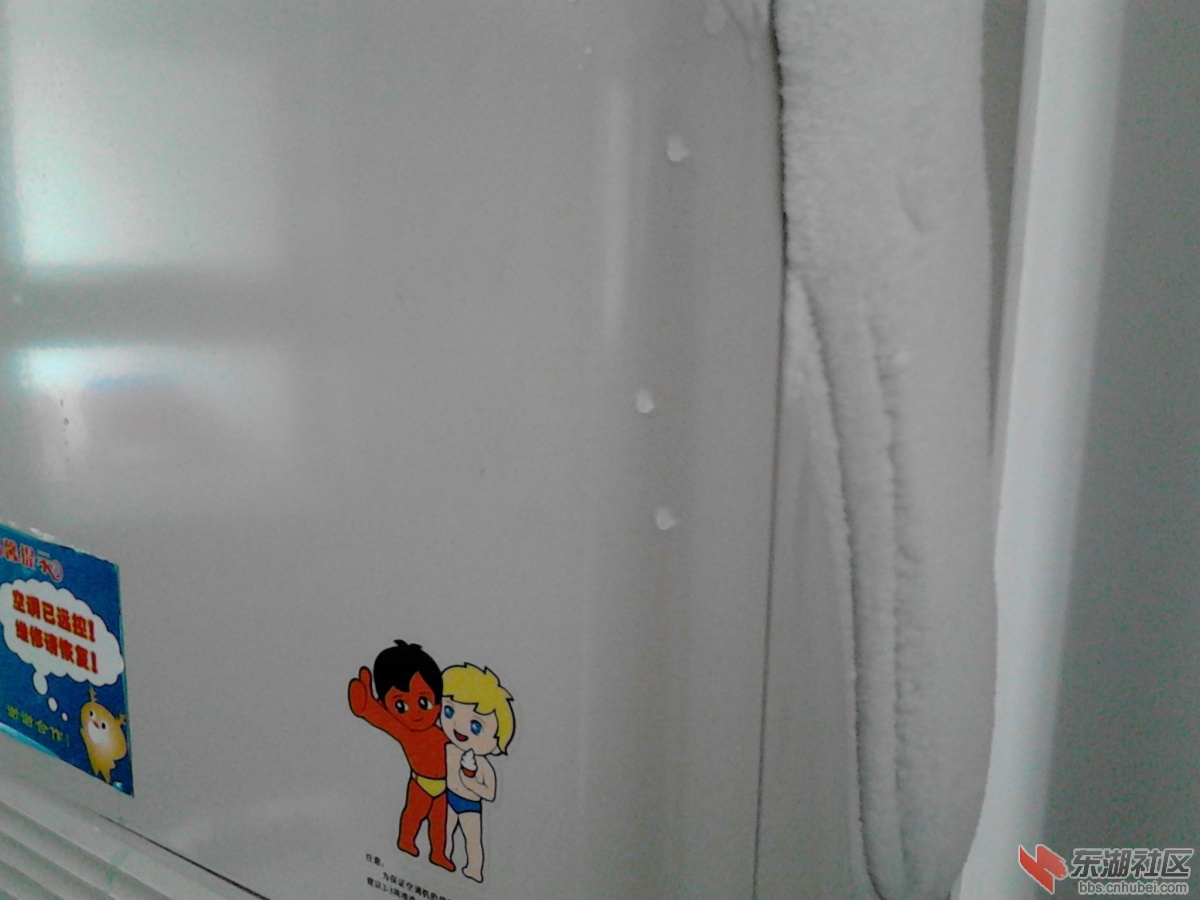 IMG_20121117_121640.jpg