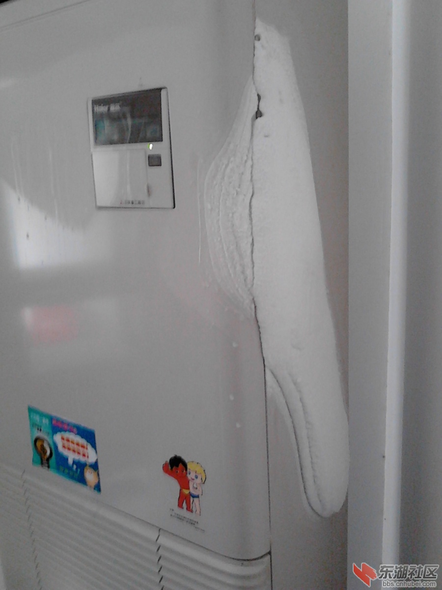 IMG_20121117_121553.jpg