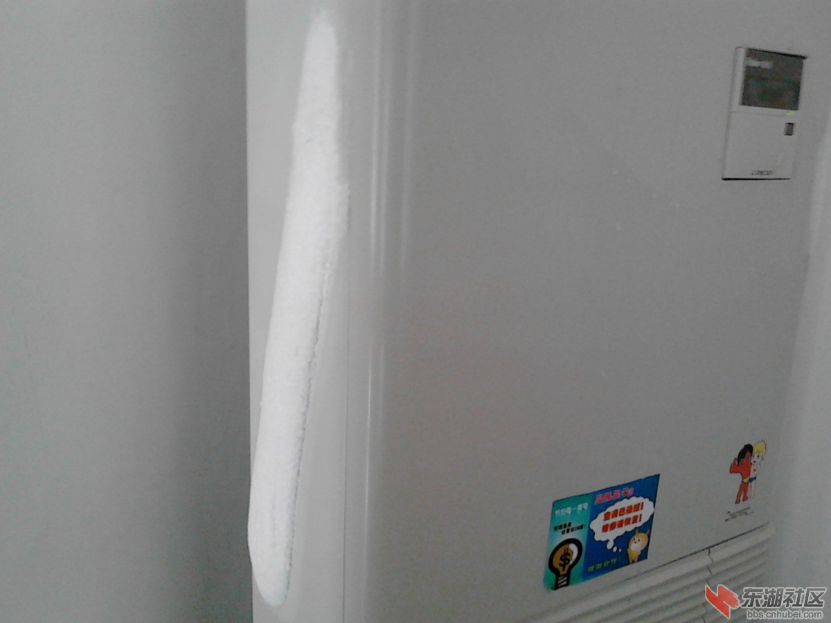 IMG_20121117_121607.jpg
