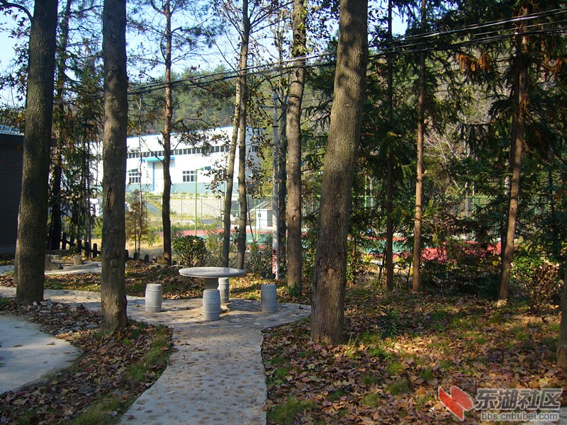 P1090732_副本.jpg
