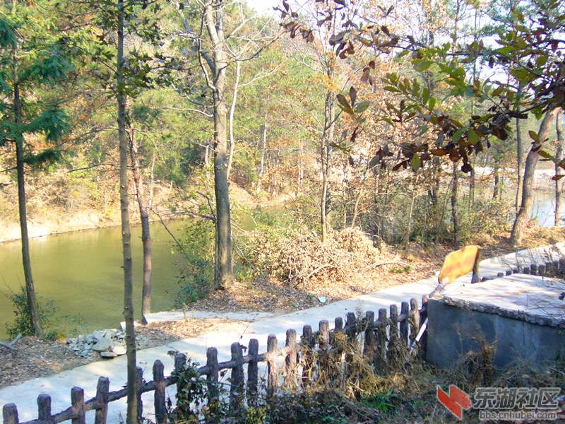 P1090738_副本.jpg