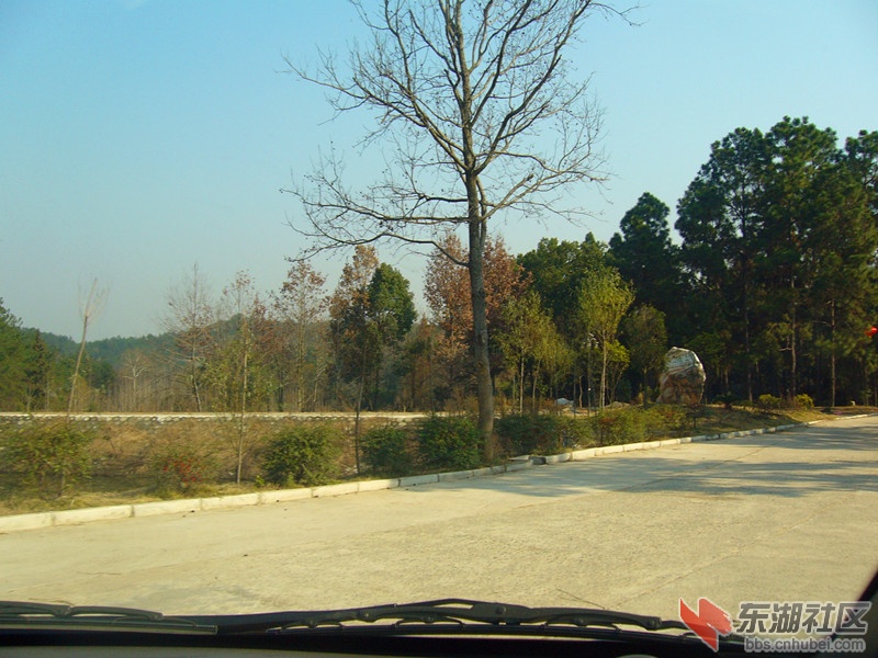 P1090741_副本.jpg