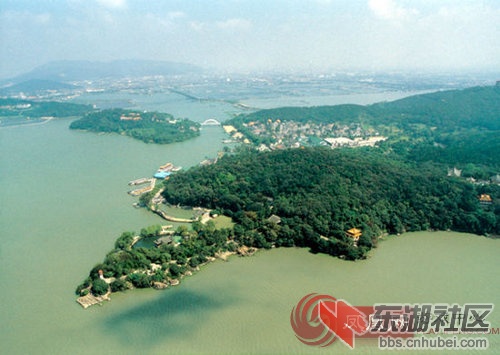 rdn_50a4696d1bbdc.jpg