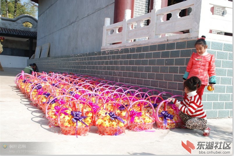 QQ截图20121120095556.jpg