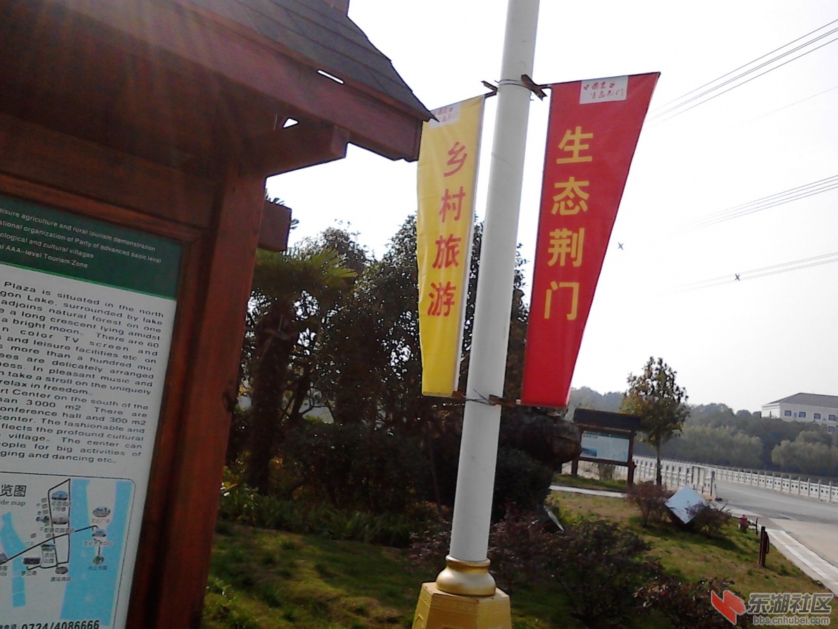IMG_20121030_142257.jpg