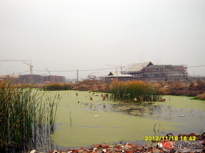 SAM_4870_副本.jpg