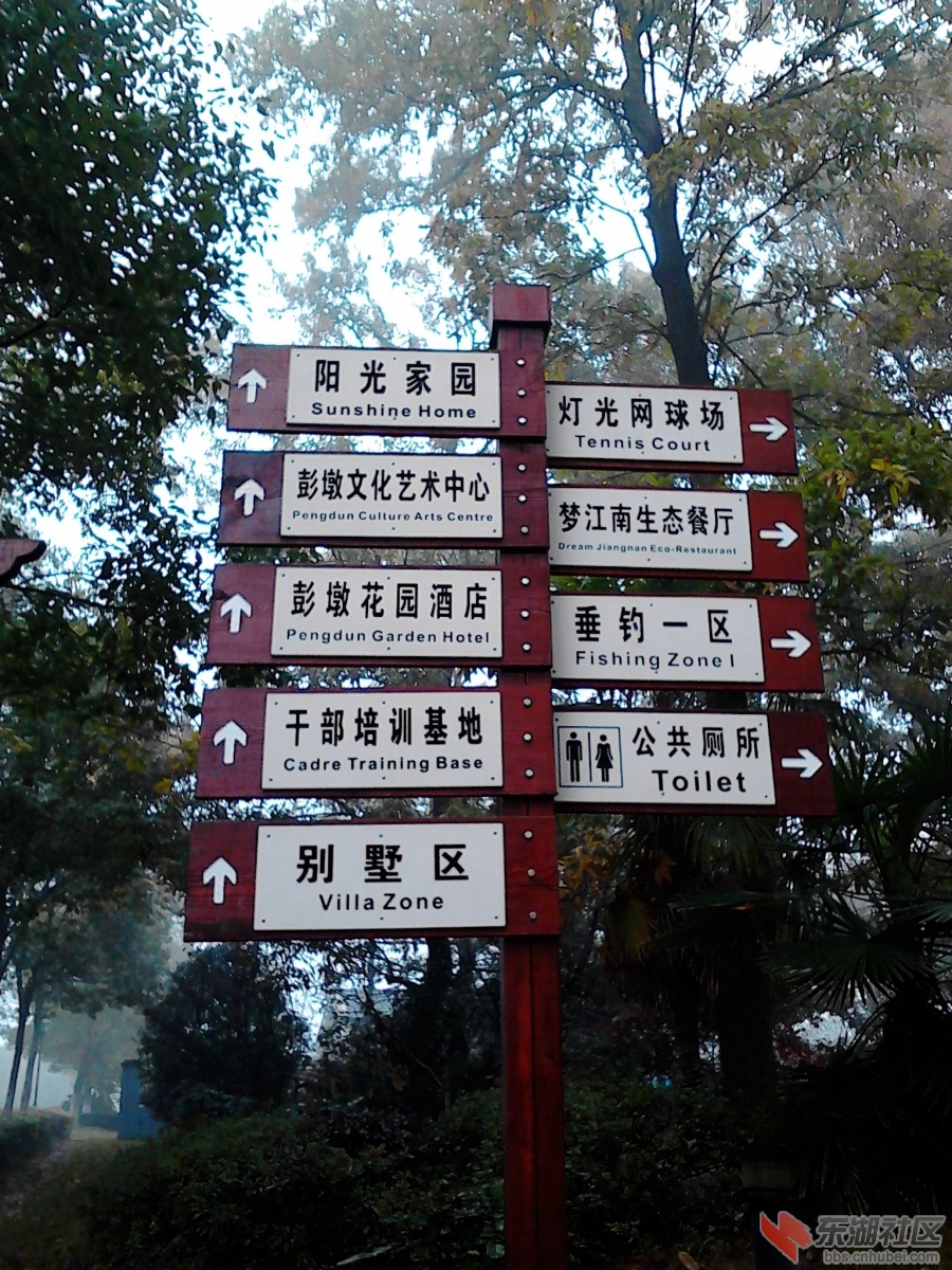 IMG_20121118_084509.jpg