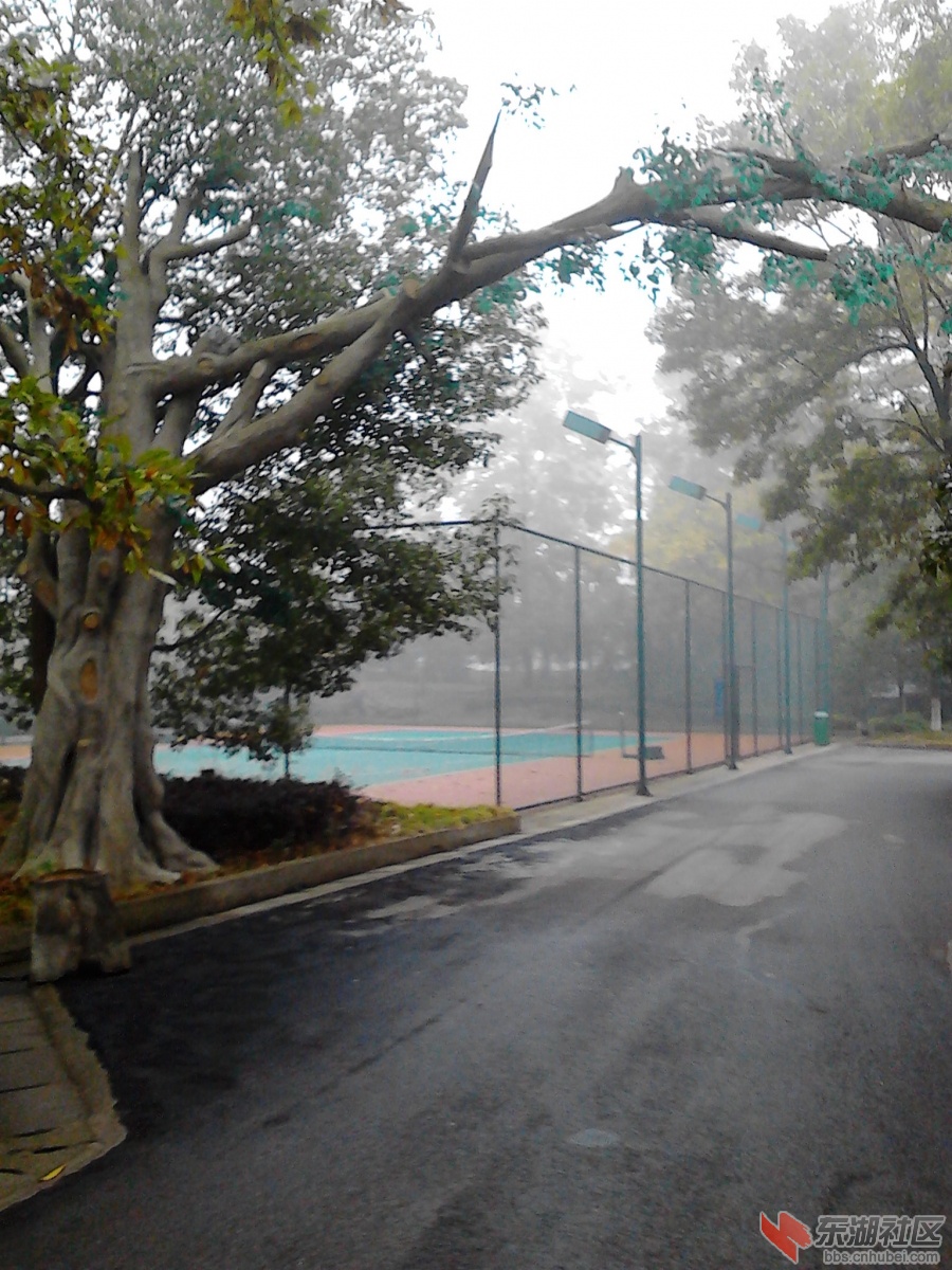 IMG_20121118_084524.jpg