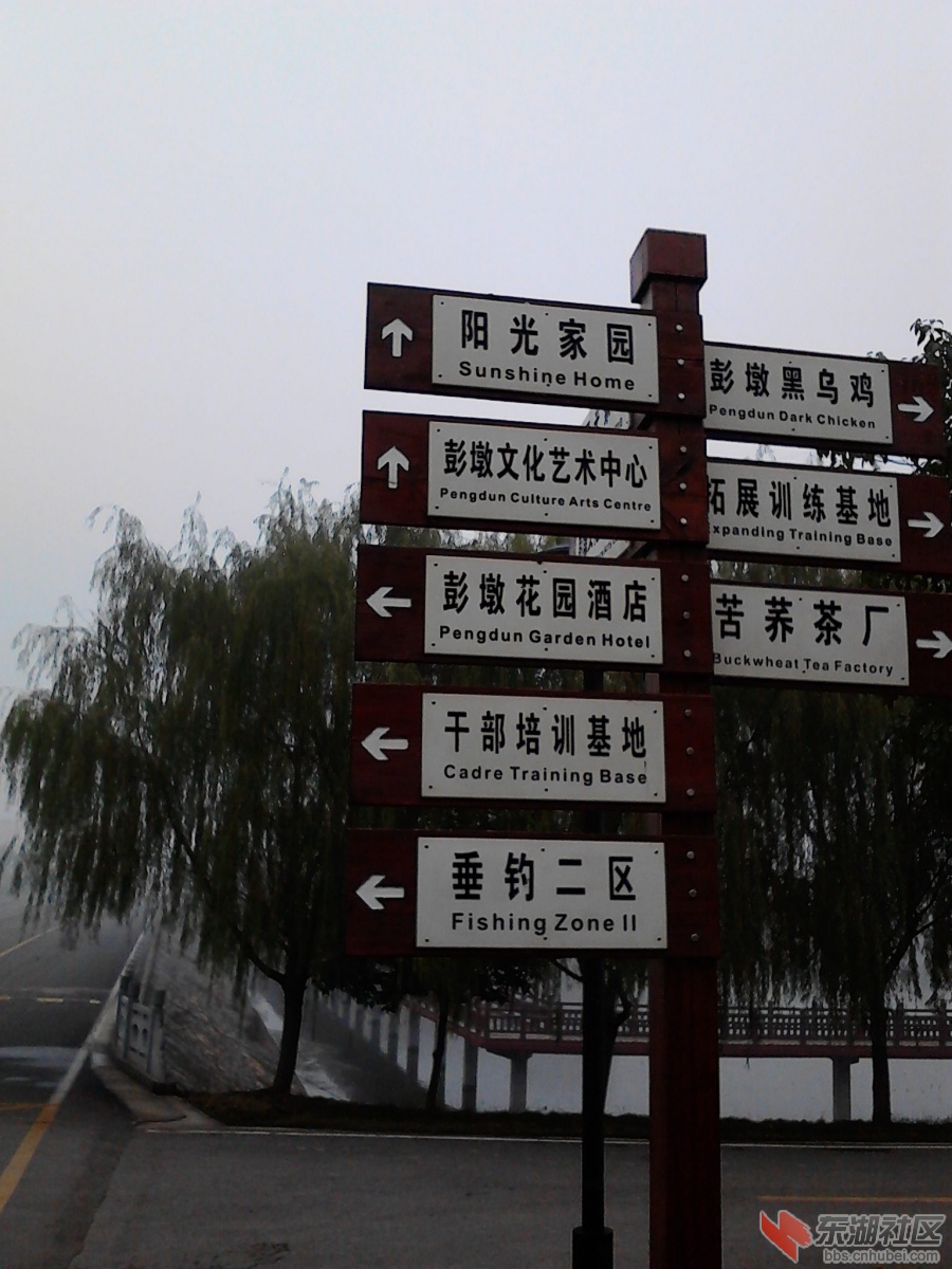 IMG_20121118_094224.jpg
