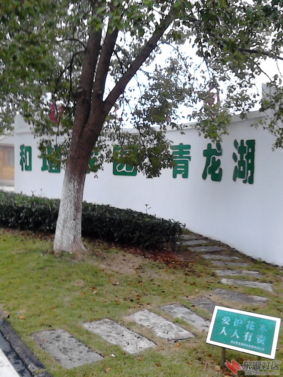 IMG_20121118_084607.jpg