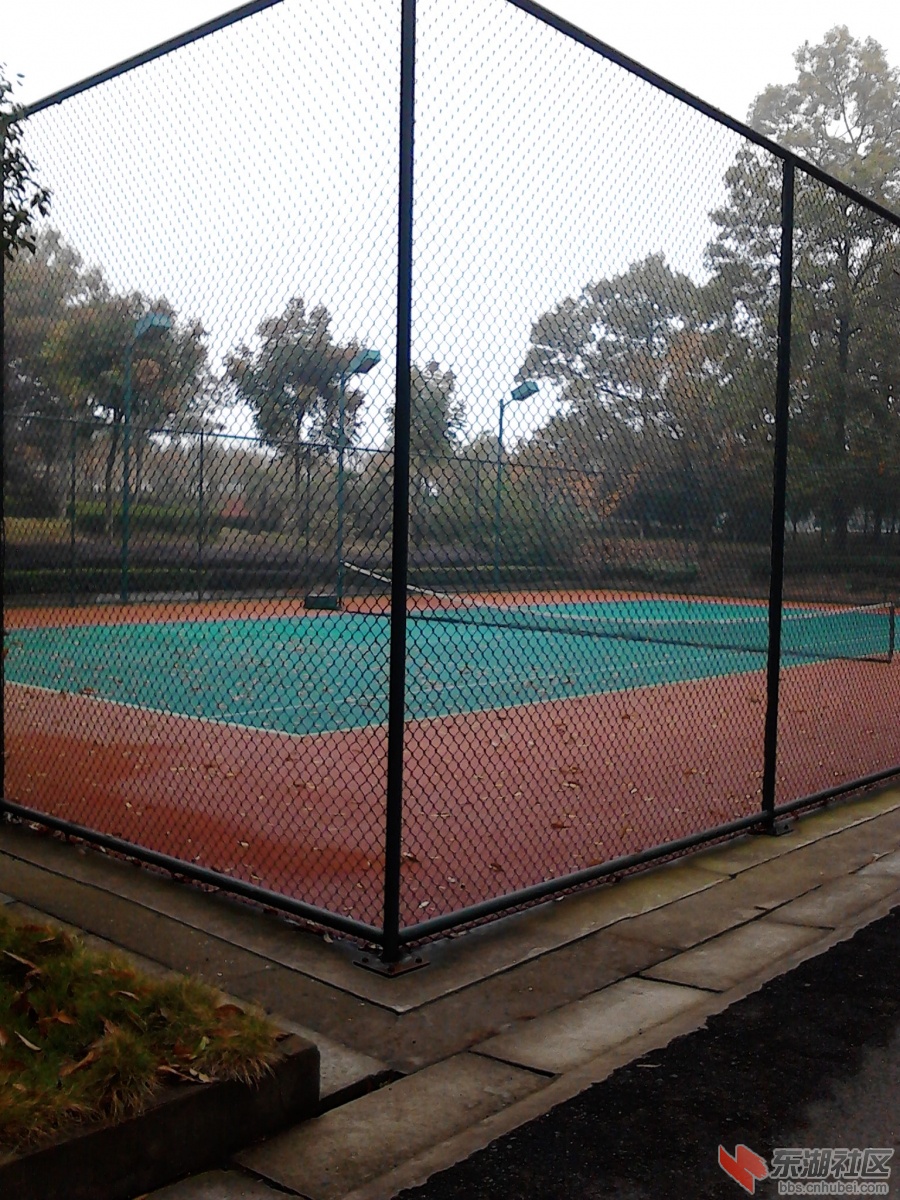 IMG_20121118_114546.jpg