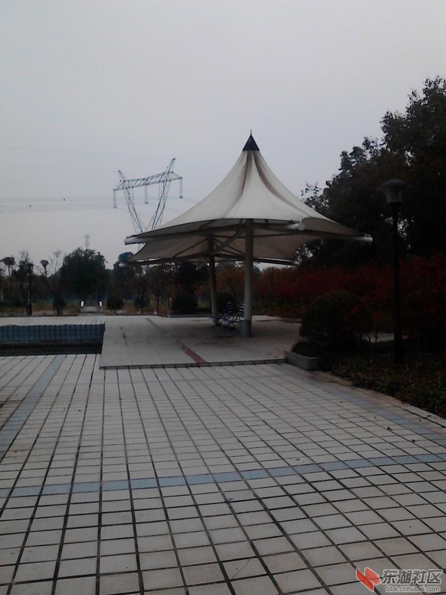 IMG_20121118_134720.jpg
