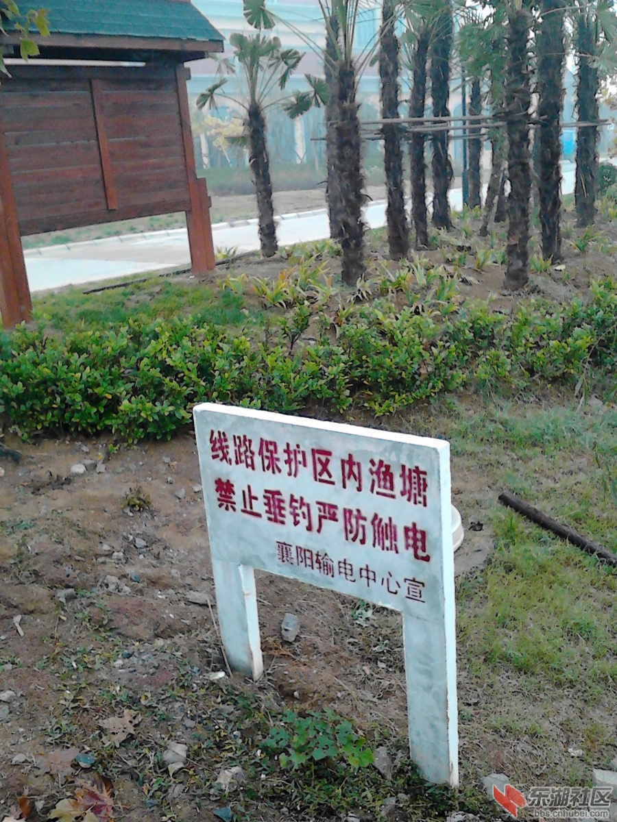 IMG_20121118_094852.jpg