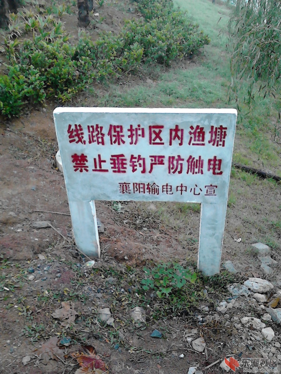 IMG_20121118_094902.jpg