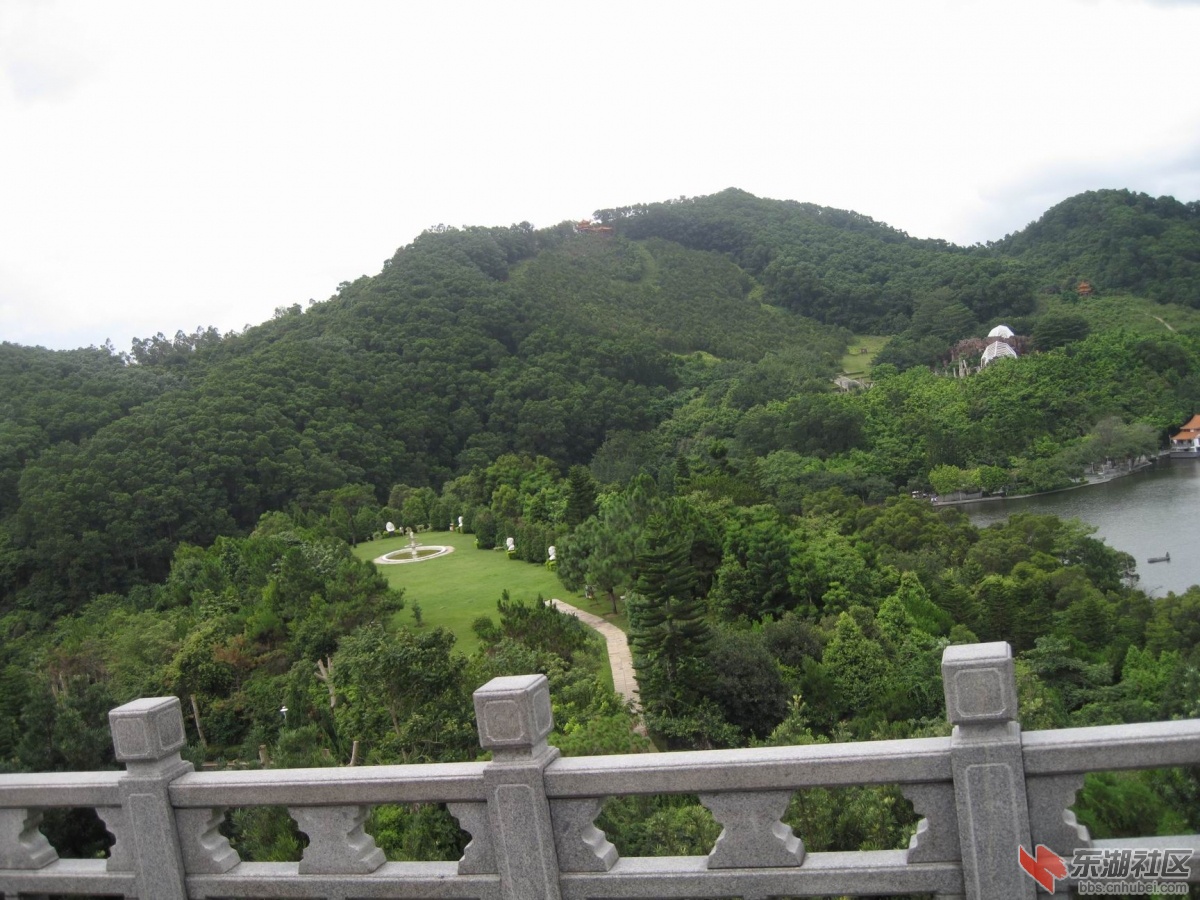 香港回归纪念林。
