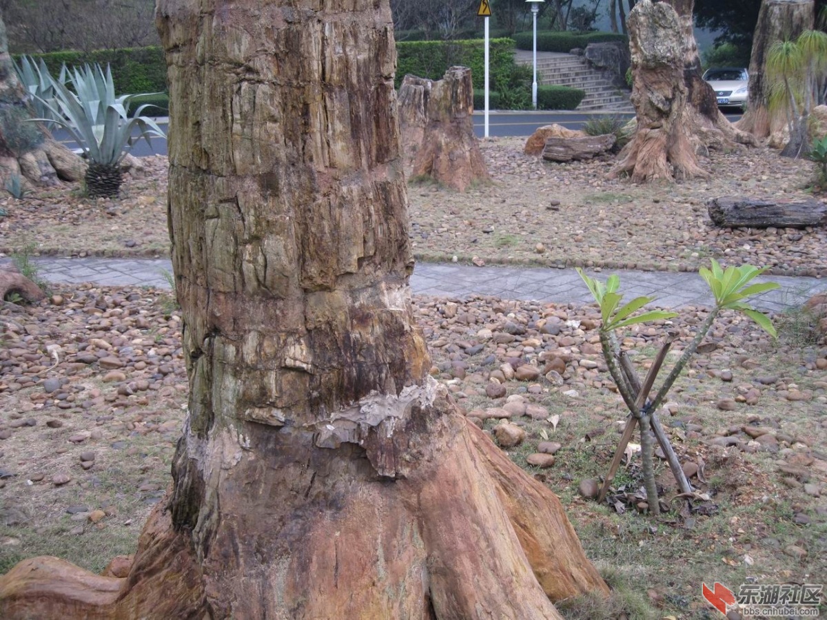 调整大小 IMG_0832.JPG