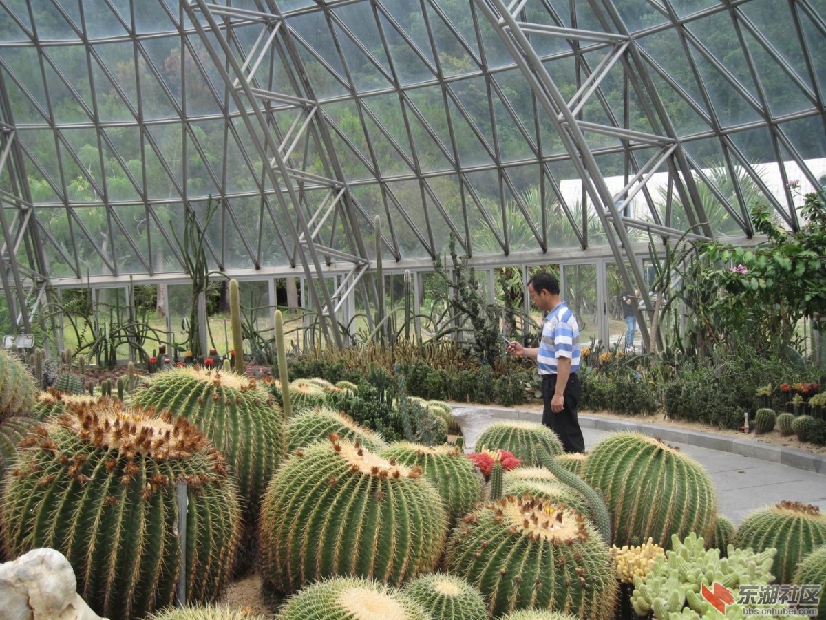 热带植物园一角。