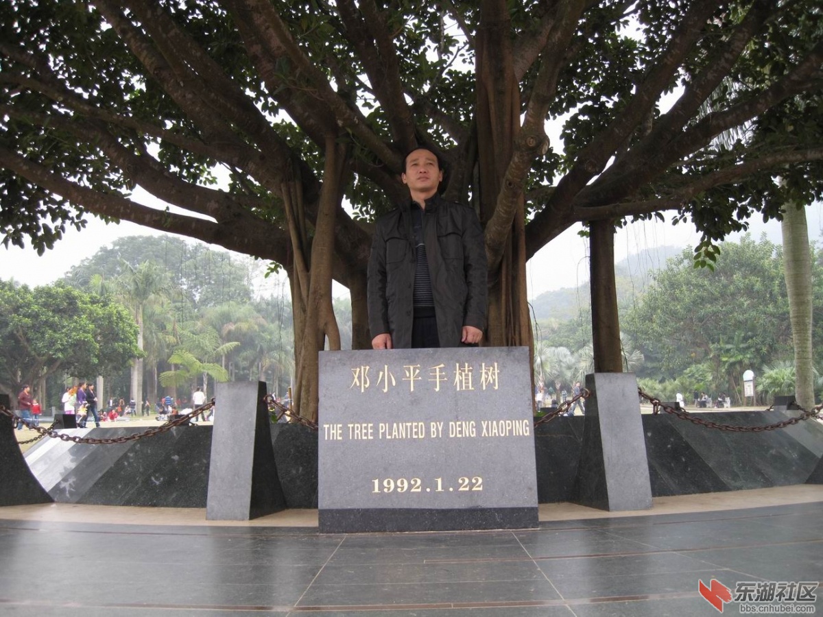 背靠大树好乘凉（1）