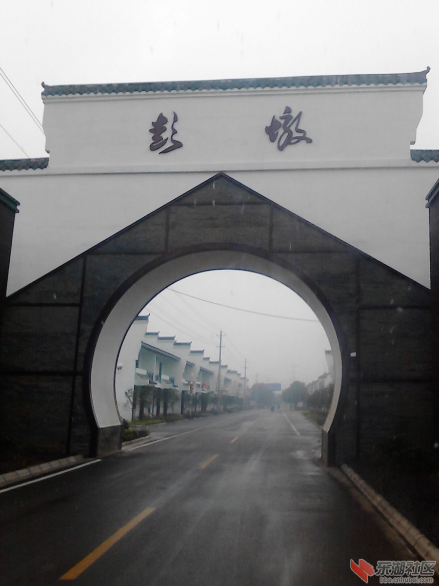 IMG_20121121_081850.jpg