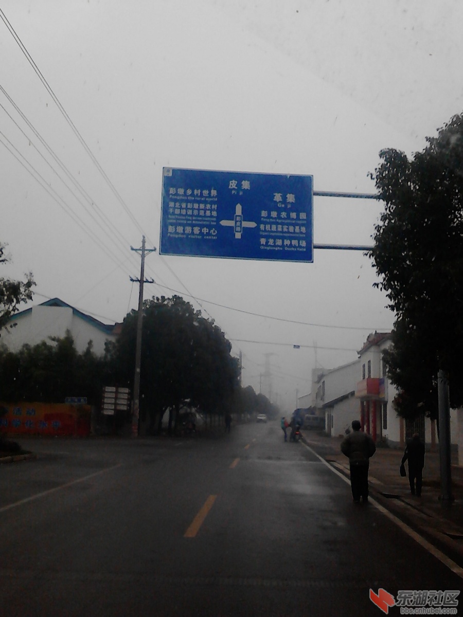 IMG_20121121_081908.jpg