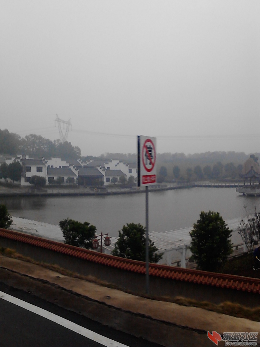 IMG_20121121_081931.jpg