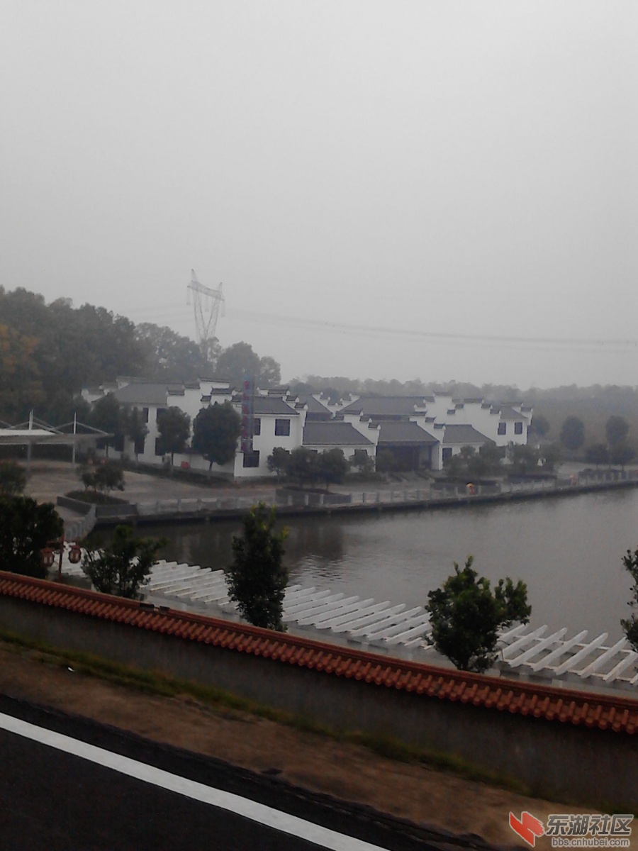 IMG_20121121_081934.jpg