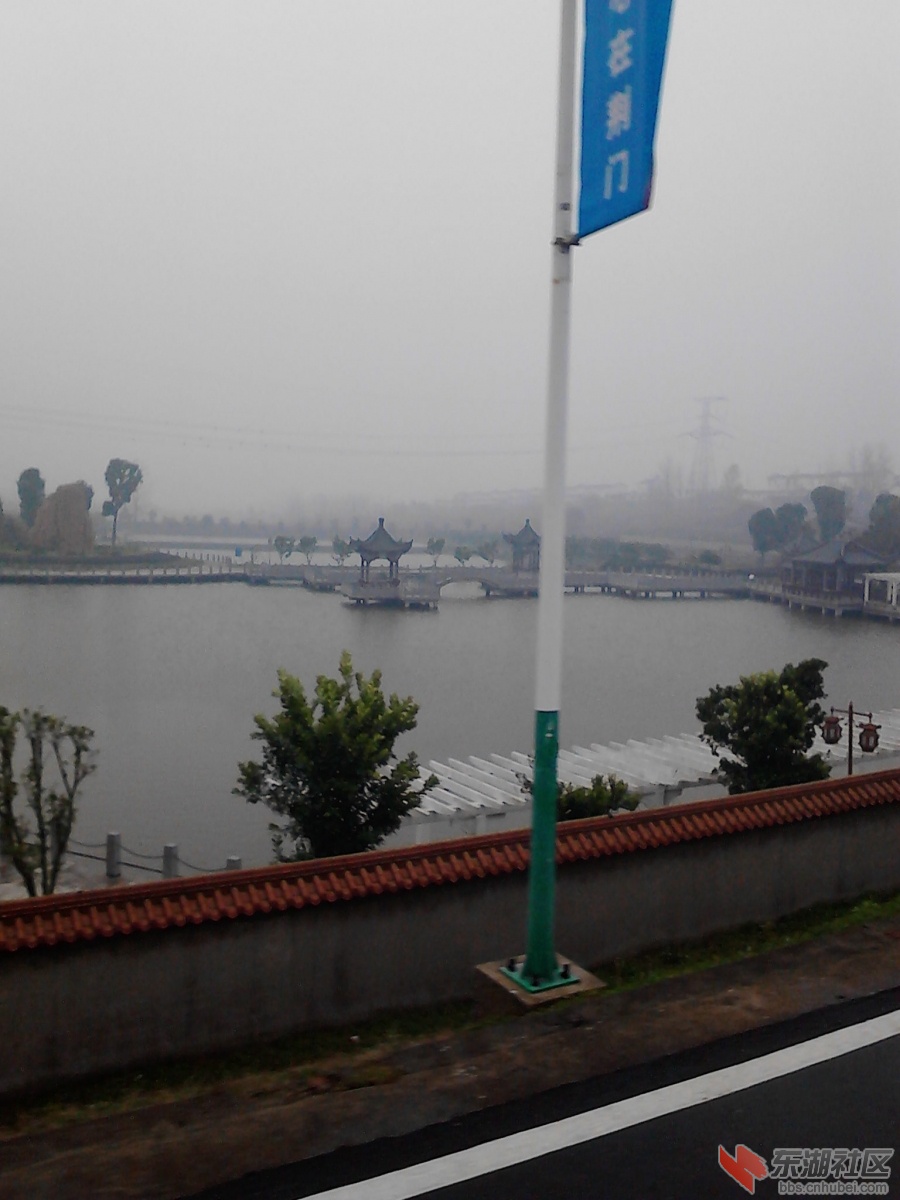 IMG_20121121_081938.jpg