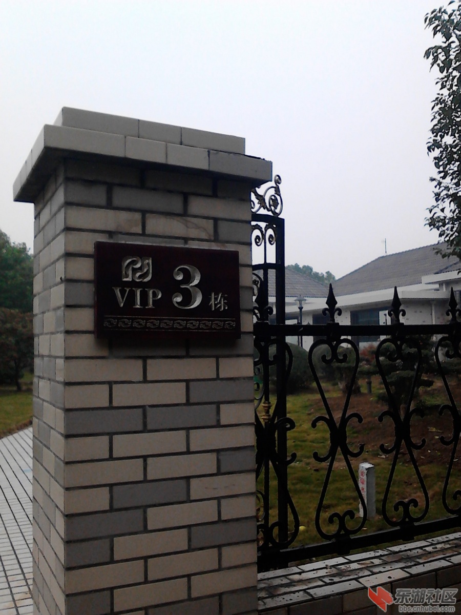 IMG_20121121_085438.jpg