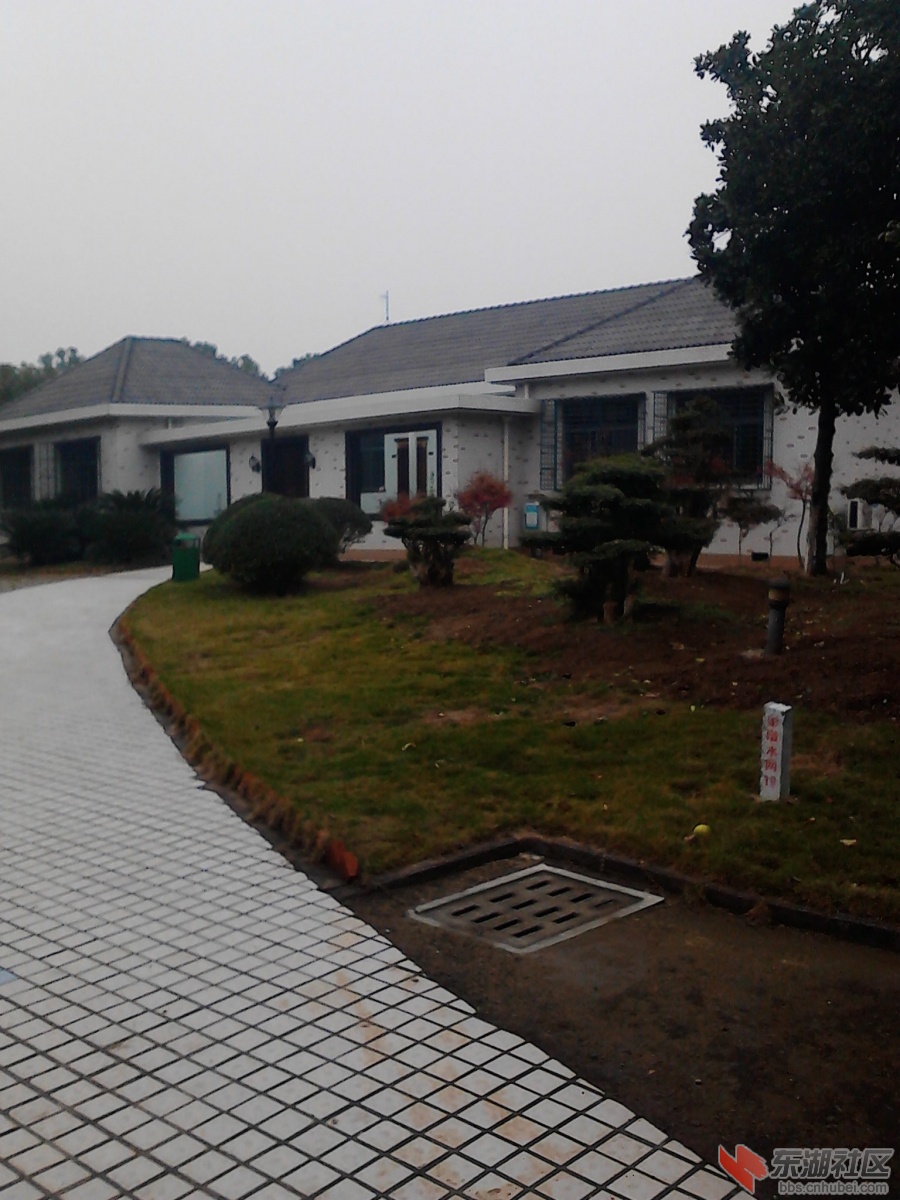 IMG_20121121_085444.jpg