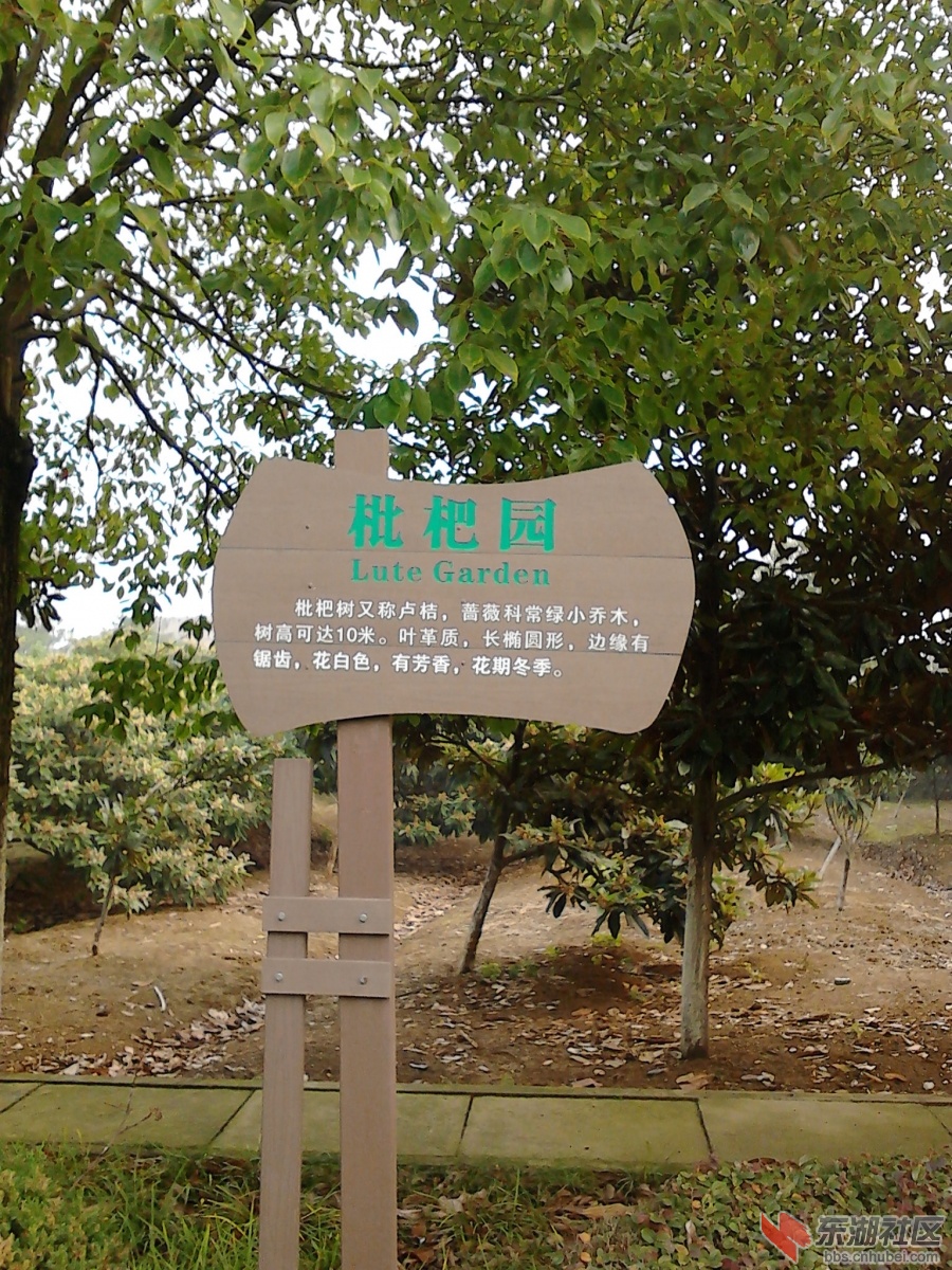IMG_20121121_101936.jpg