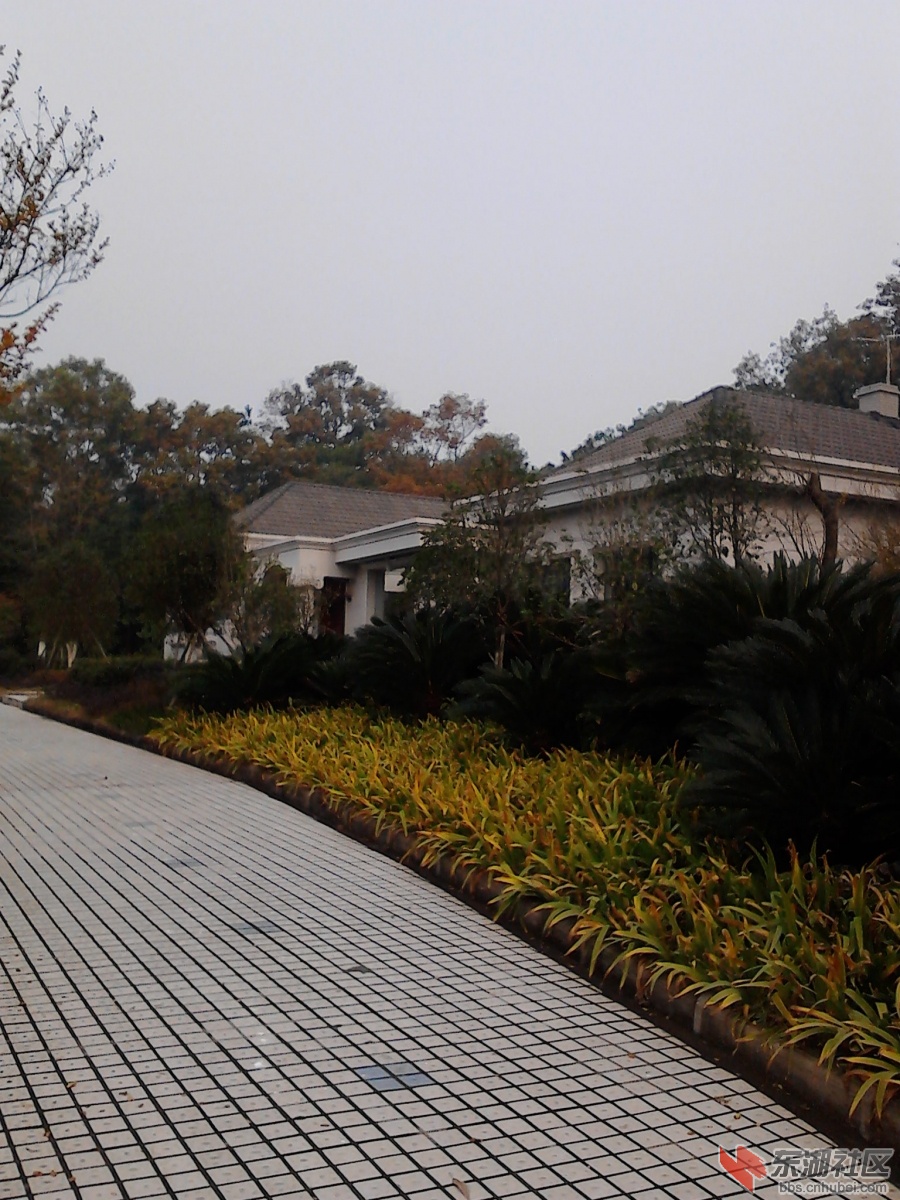 IMG_20121121_105700.jpg