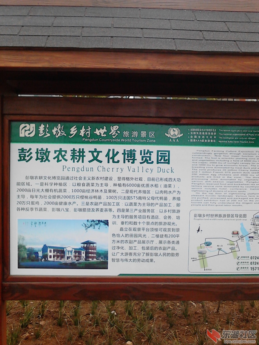 IMG_20121121_112850.jpg