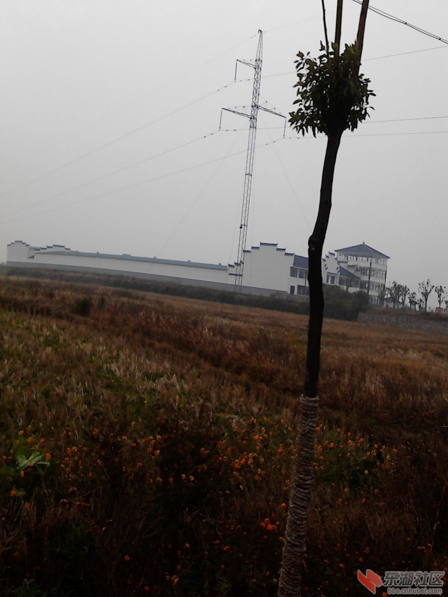 旋转 IMG_20121121_112928.jpg