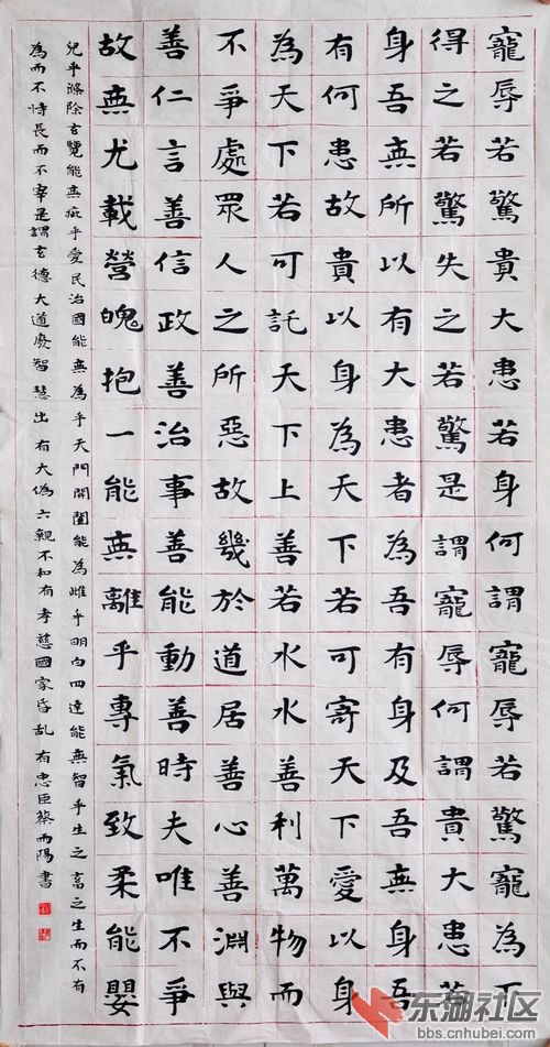 蔡雨阳  13岁  重庆市  指导老师  史向阳.jpg