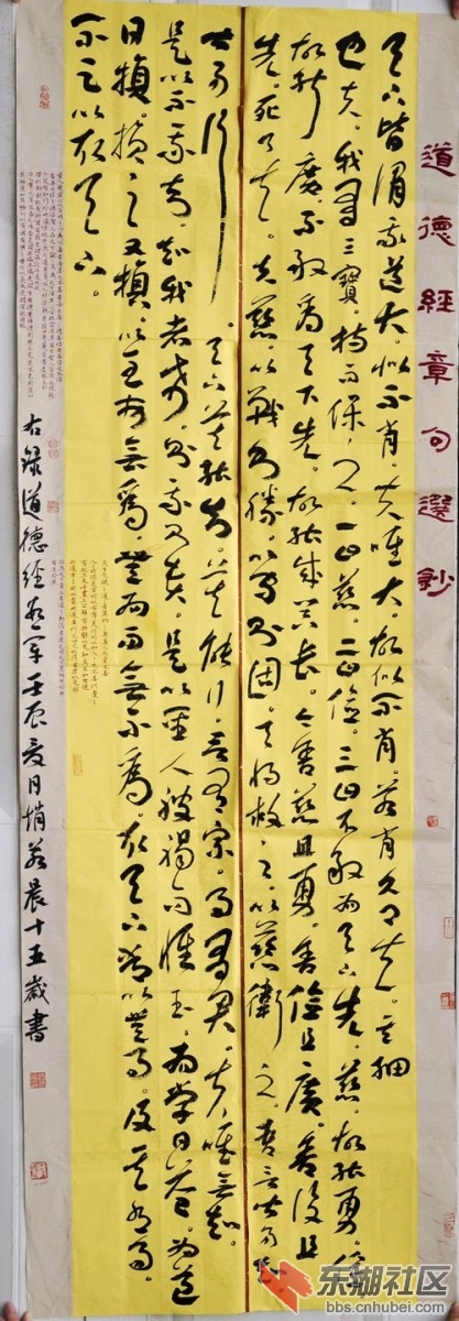 赵若晨   女  15岁  浙江省义乌市   指导老师   陈永君.jpg