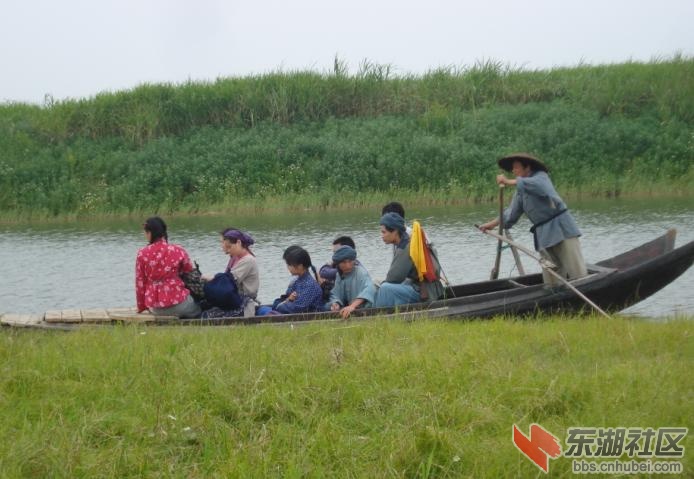 2008617181827.jpg